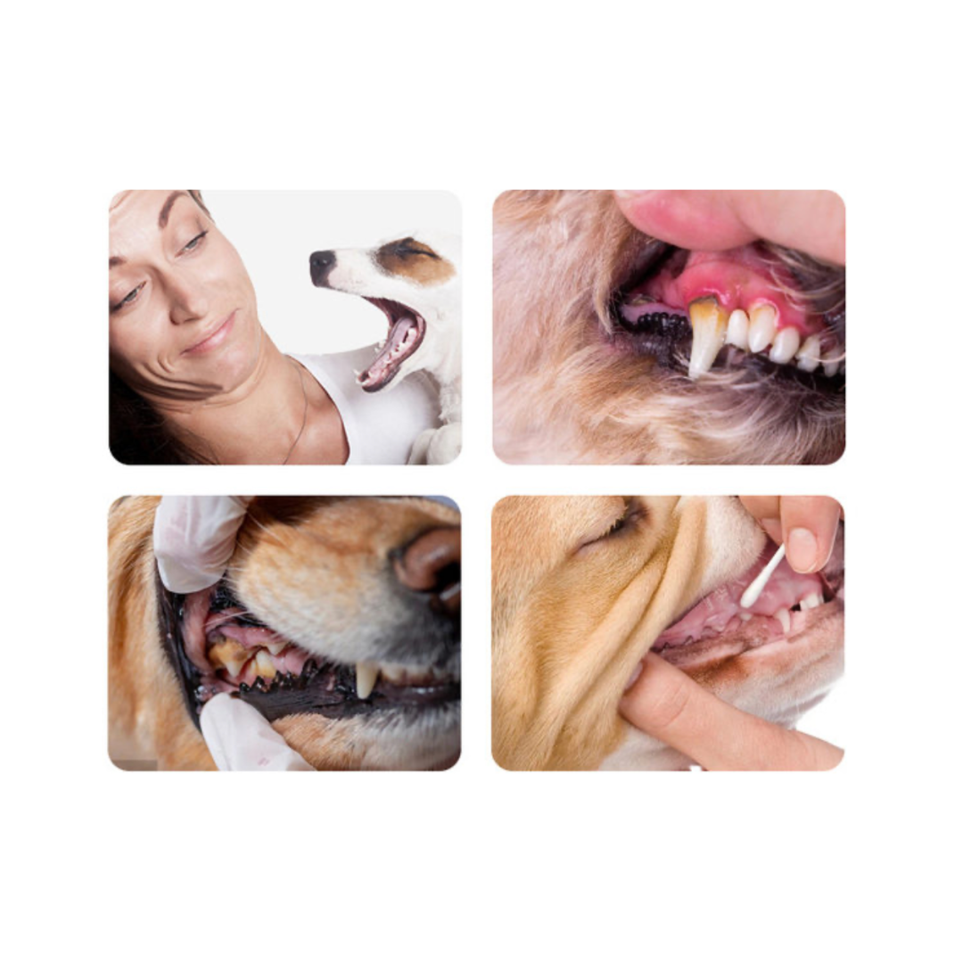 SET CEPILLO DENTAL PARA MASCOTAS