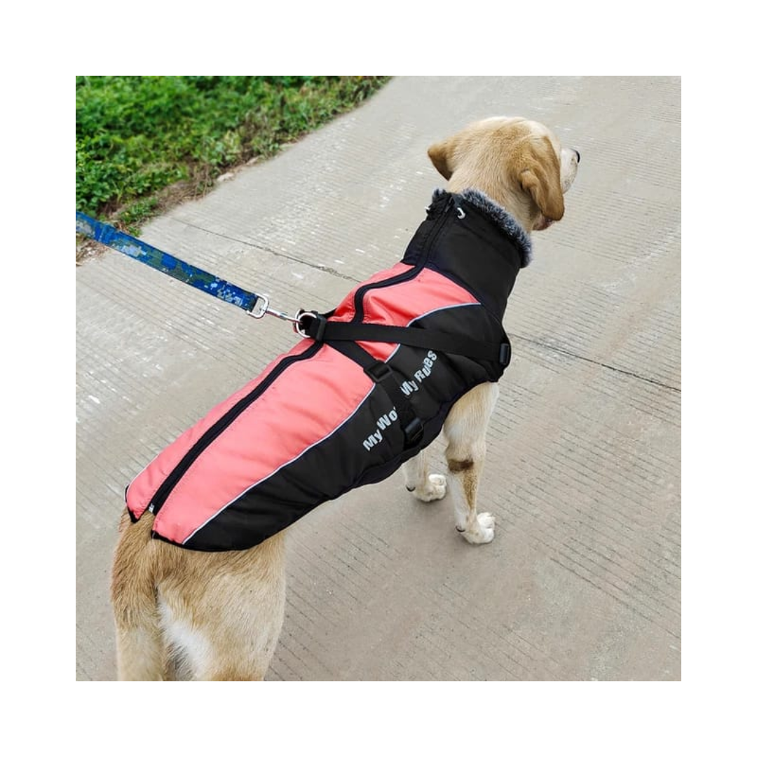 PARKA IMPERMEABLE CON ARNÉS PARA MASCOTAS - XL