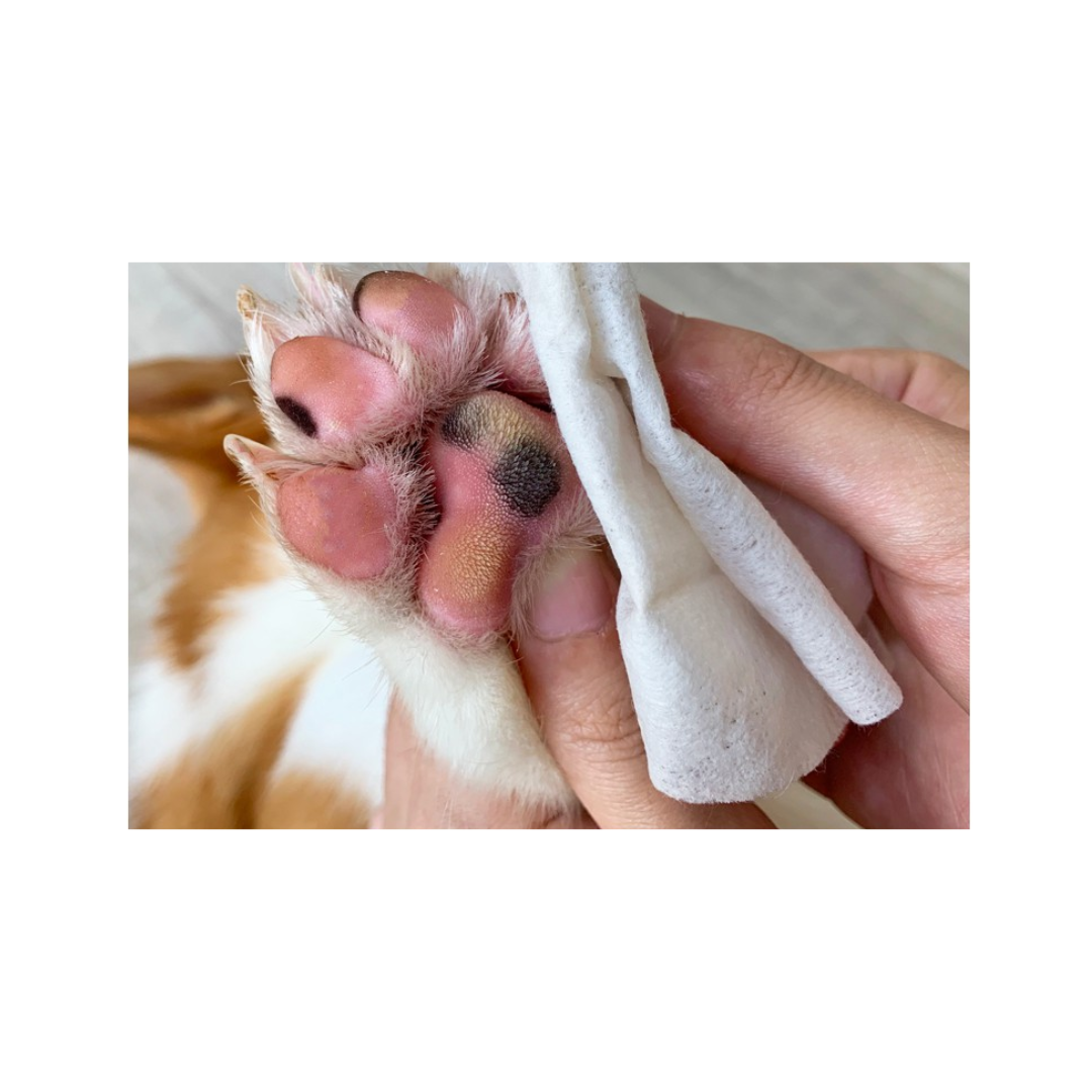 BIOLINE - ESPUMA LIMPIA PATITAS GATOS