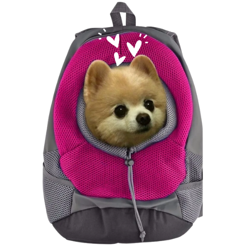 MOCHILA TRANSPORTADORA PARA MASCOTAS